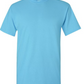 *Bleached* I hate Pumpkin Spice (Custom Order T-Shirt)