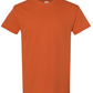 *Bleached* I hate Pumpkin Spice (Custom Order T-Shirt)